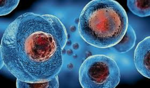 Stem Cell Treatment in London