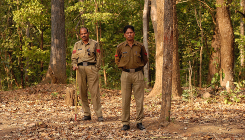 van vibhag driver Bharti